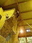 video_chutes_devers